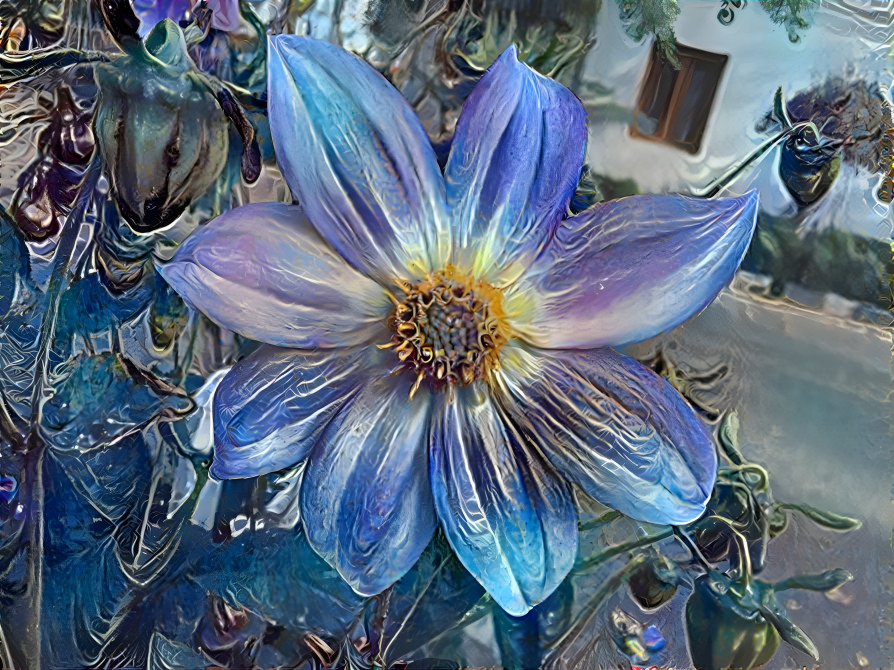 blue flower