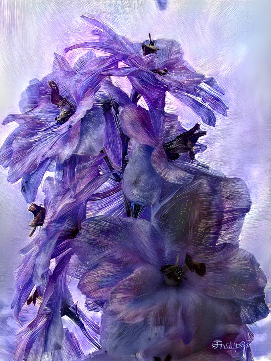 Delphinium