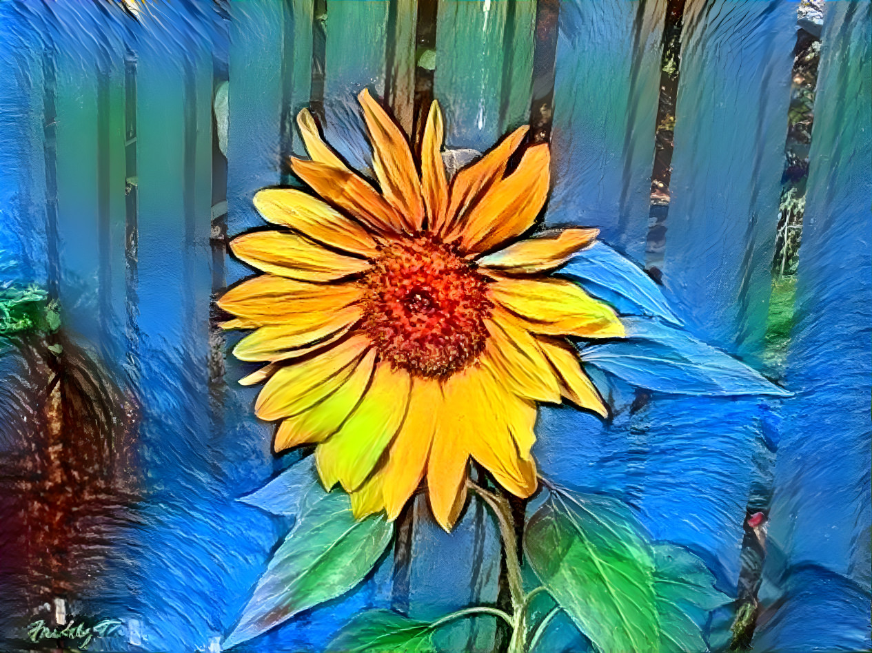 Sunflower