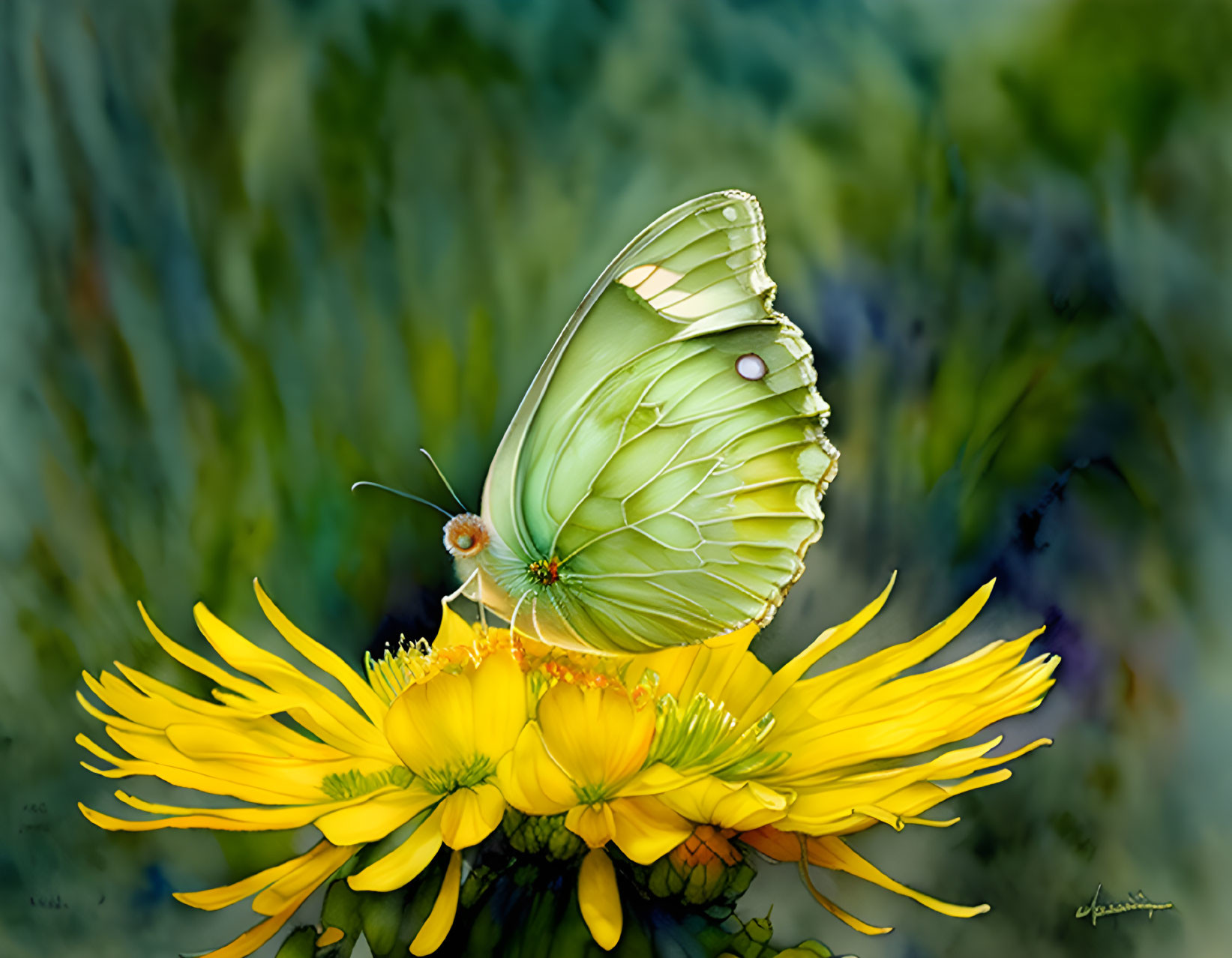 Green butterfly on yellow flower with blue and green background