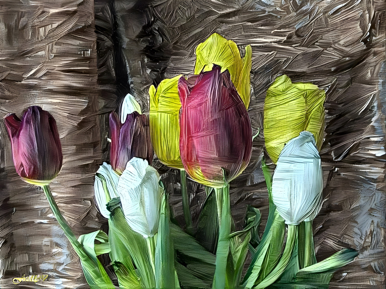 Tulips