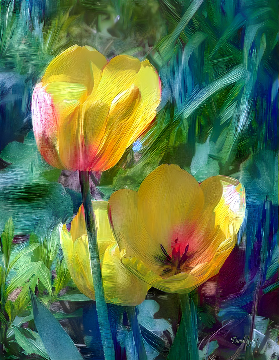 Tulips