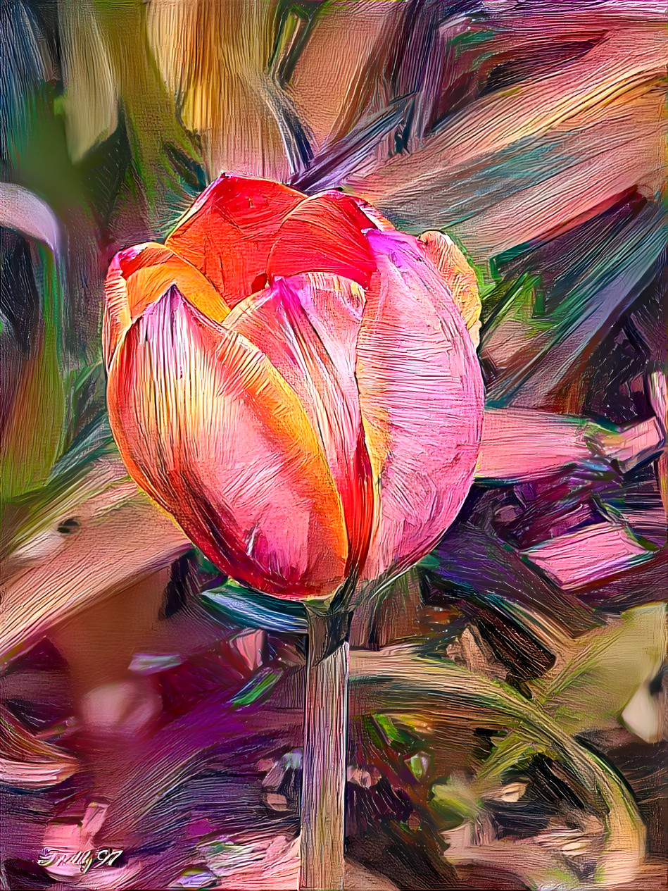 Tulip