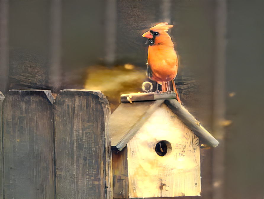 Mr. Cardinal