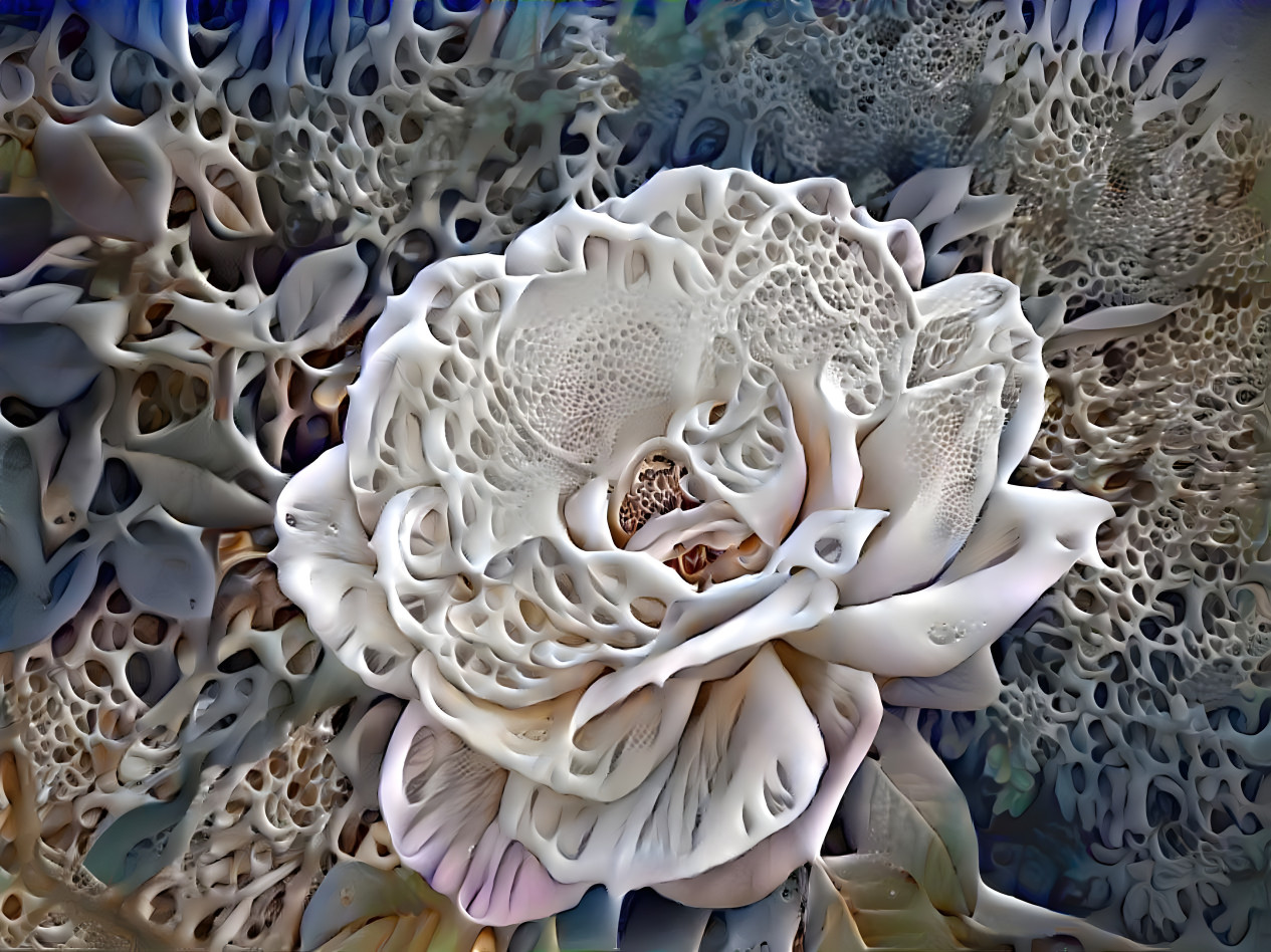 Flower of Bone and Coral