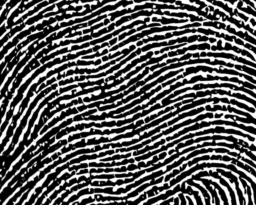 Detailed Black and White Fingerprint Pattern Design