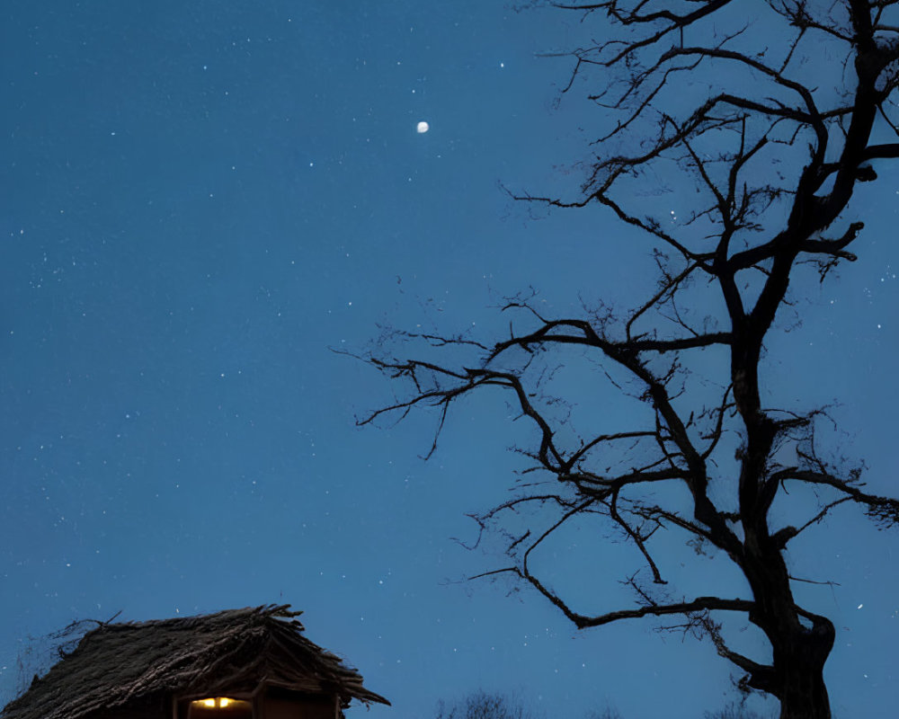 Snow-covered landscape with full moon and stars above, bare tree, and cozy cabin.