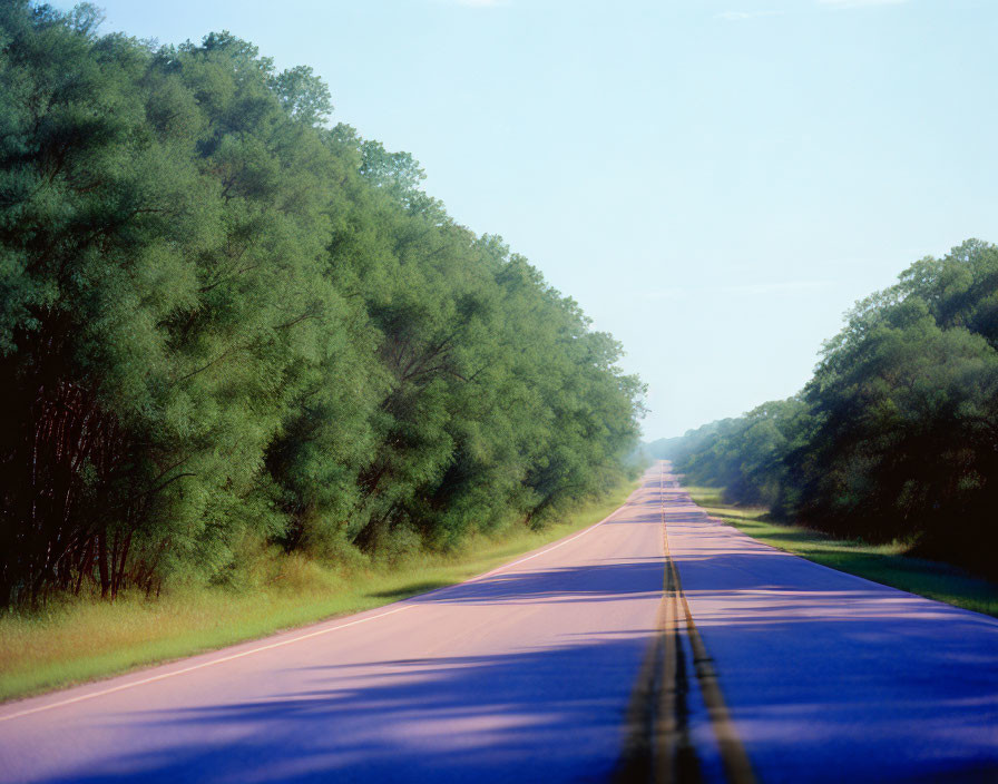 Straight Road with Double Yellow Lines and Green Trees Under Clear Blue Sky