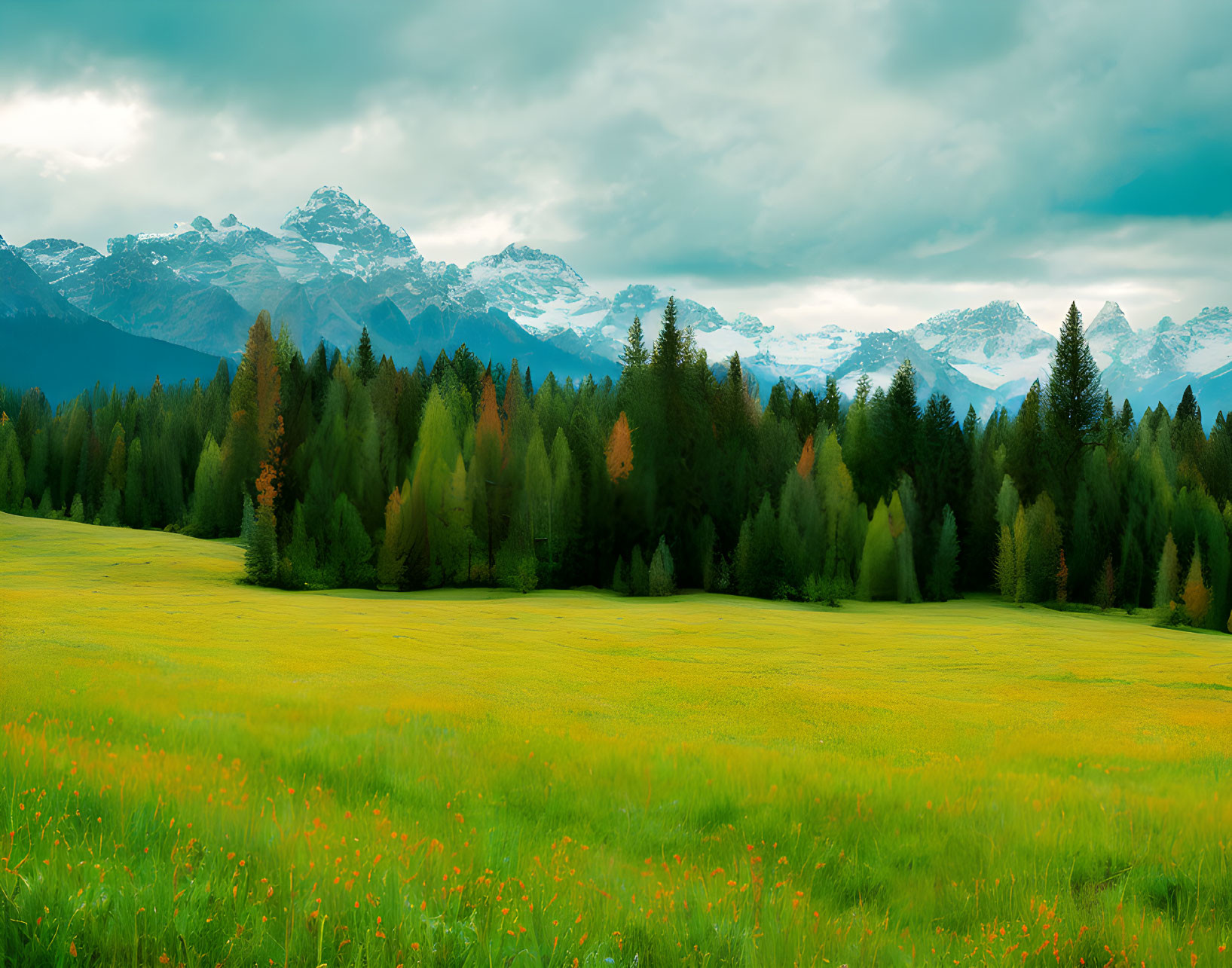 Scenic green meadow with orange flowers, diverse trees, stormy sky, and snow-capped