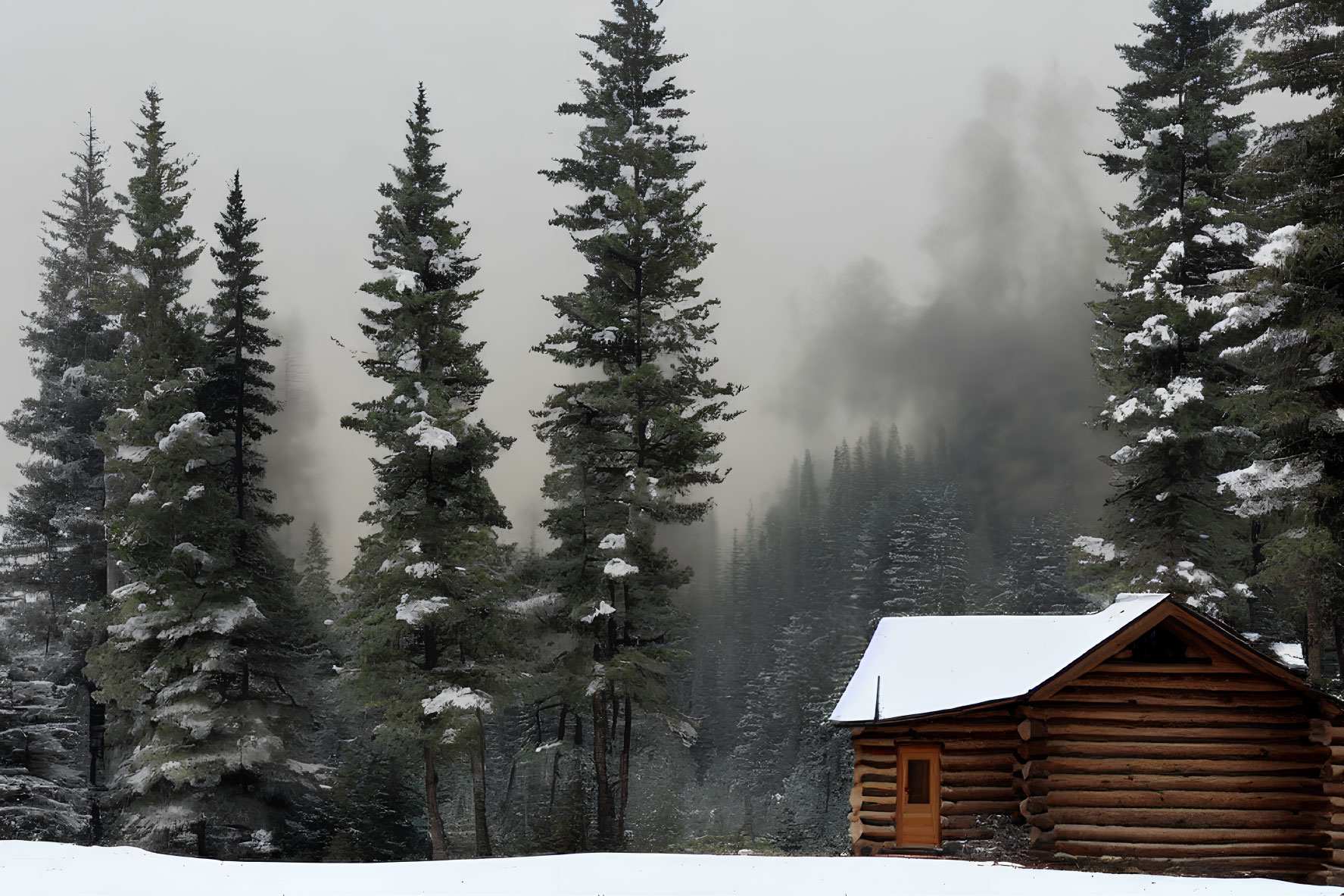 Snowy roof log cabin near tall evergreen trees in foggy wintry landscape