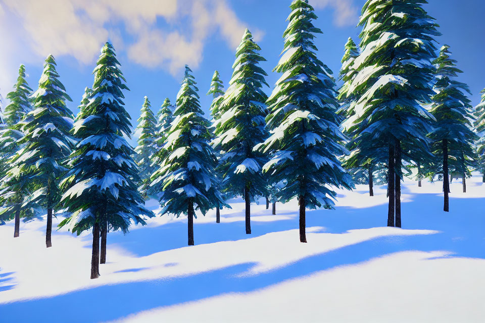 Winter Scene: Snow-covered Pine Trees in Sunny Landscape