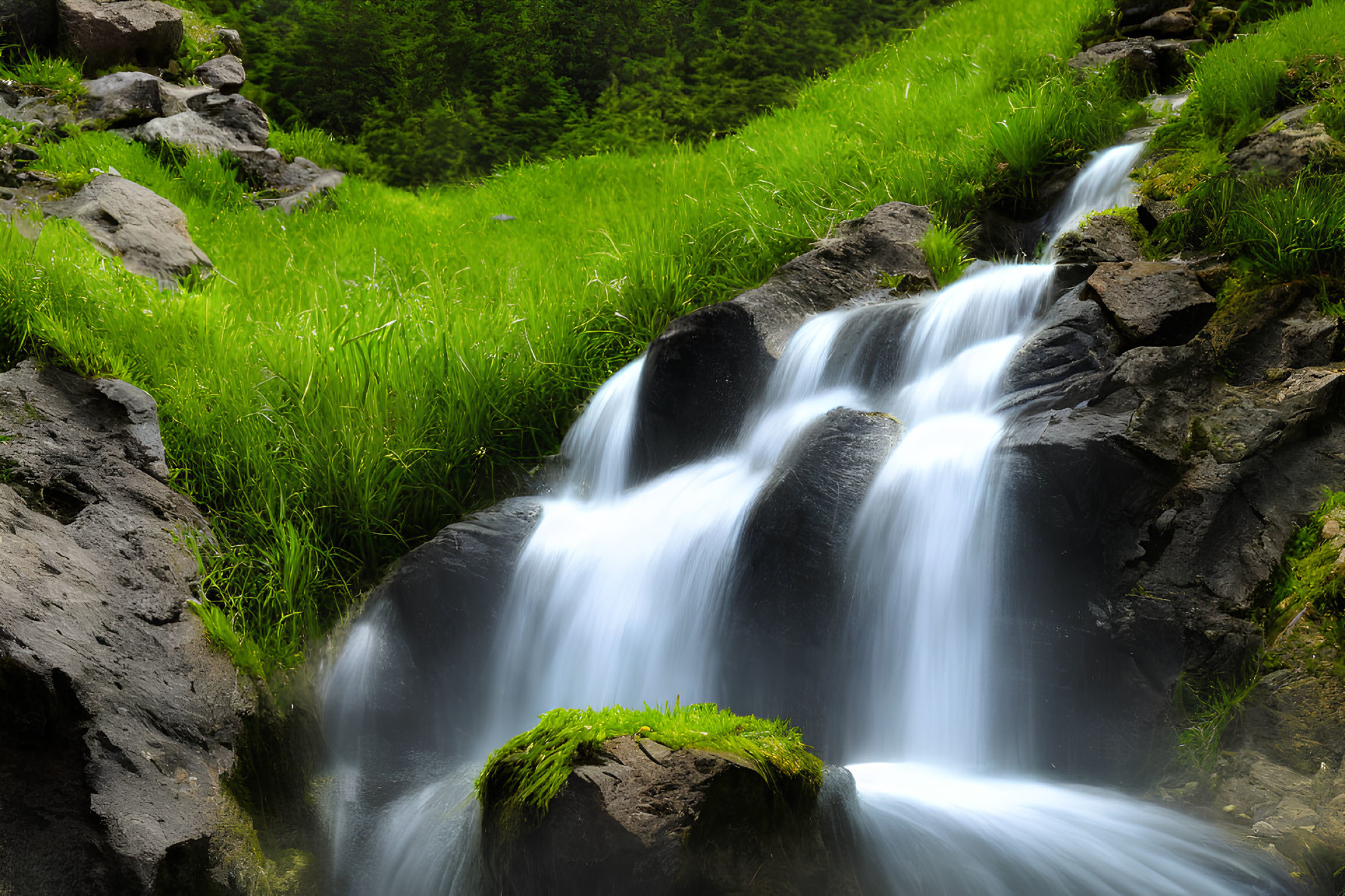 Tranquil forest scene with flowing waterfall and lush greenery