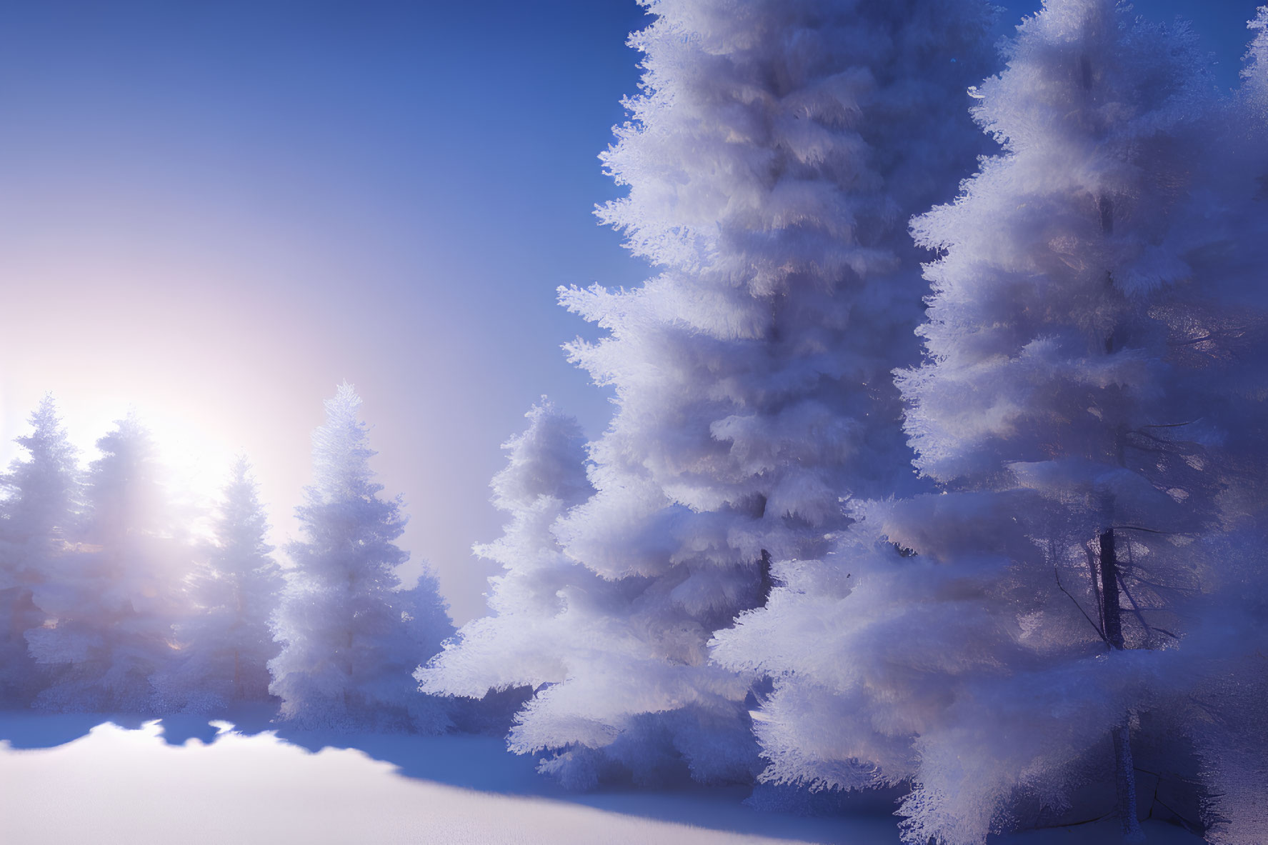 Snow-covered trees in soft sun glow under hazy blue sky