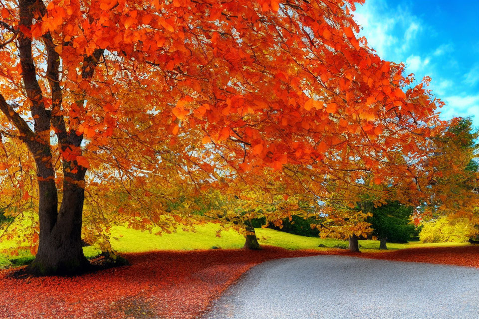 Colorful autumn landscape with curving road and vibrant trees under blue sky