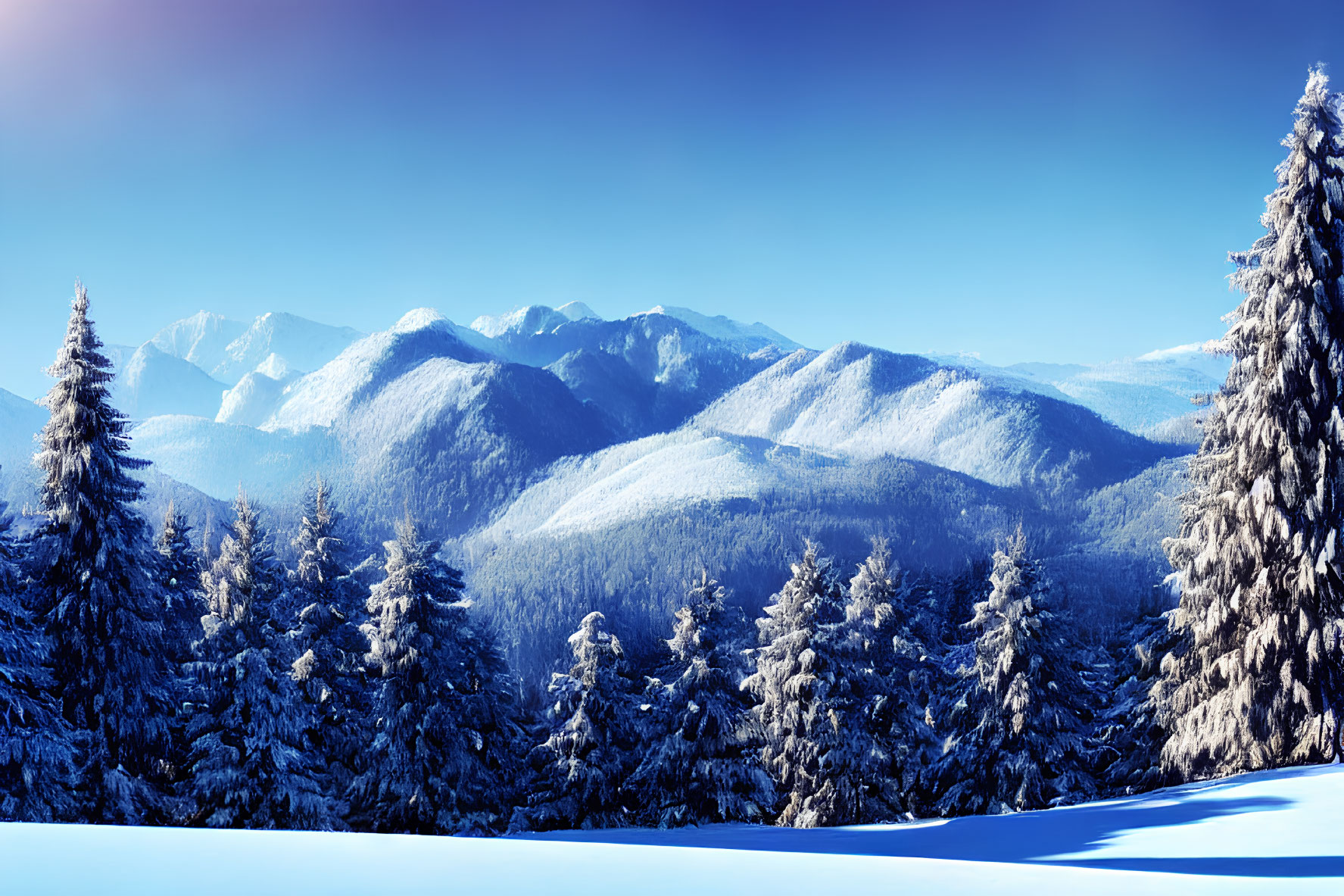 Winter forest scene with snowy mountains and blue sky