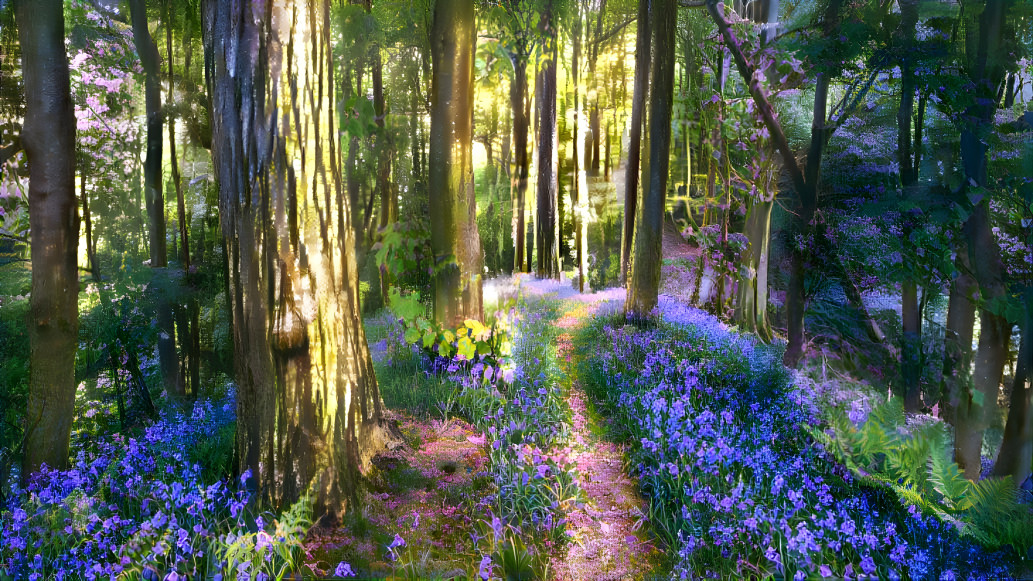 Bluebell Dream