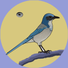 Colorful paper art of a bird with blue head, white underparts, and gray wings on branch