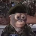 Futuristic military monkey illustration with night vision headset