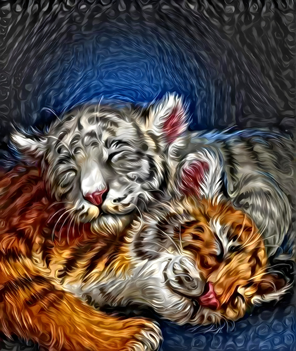 ContentedCubs