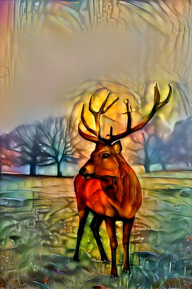 Deer