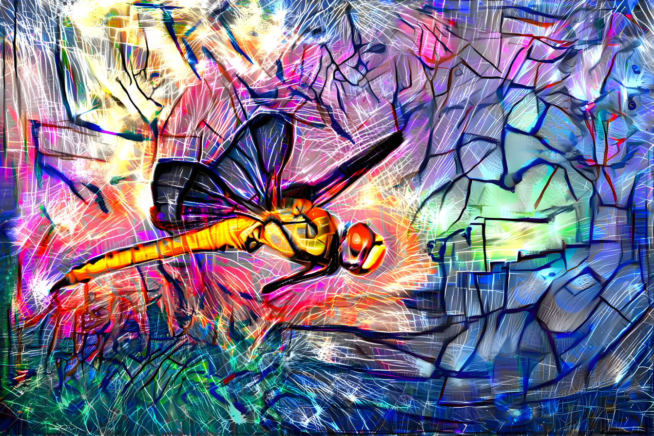 DragonFlyIntheSky