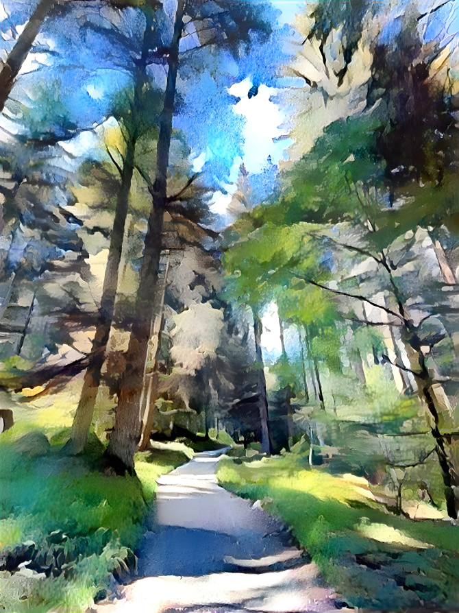 Forest walk 