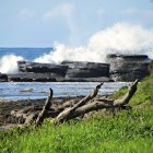 Rocky shores with vibrant vegetation under sunny sky: A coastal scene.