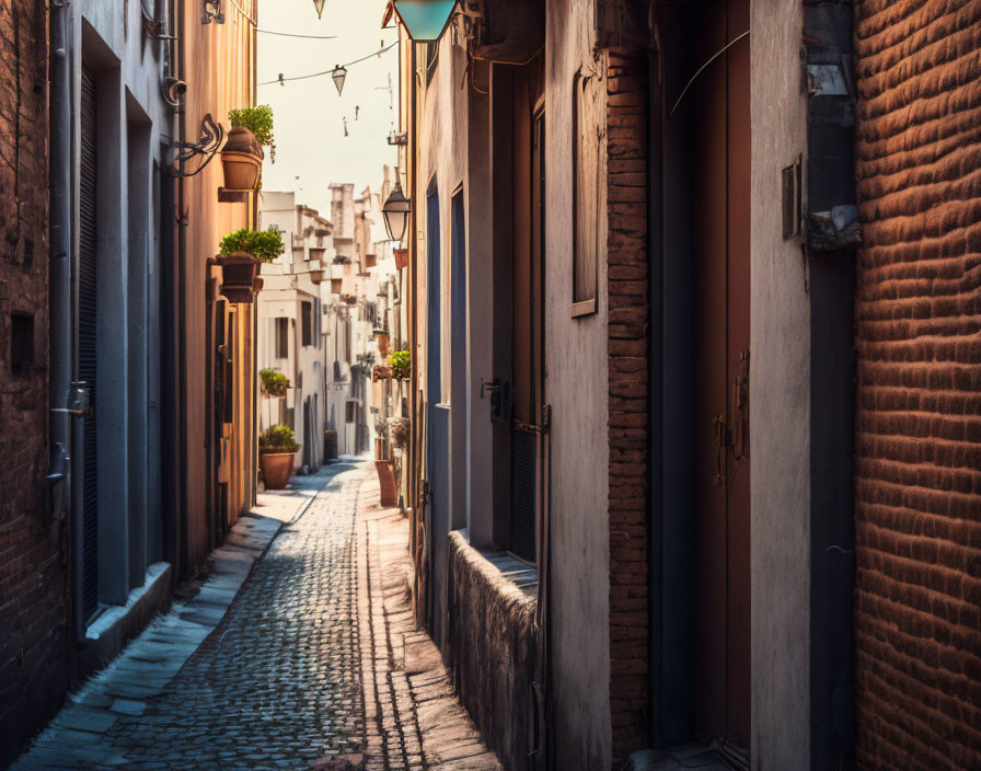 Historic cobblestone alley with old buildings and hanging lights