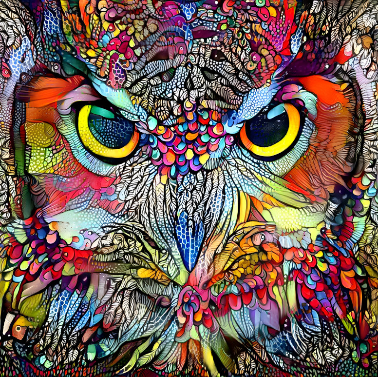 owl