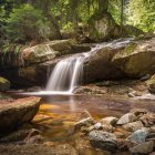 Majestic dragons by lush forest waterfall