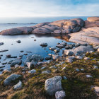 Misty rocky shoreline with flower-covered foreground and distant cliffs