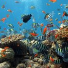 Colorful Underwater Scene with Coral-like Structures and Fish