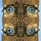 Surreal illustration of tree trunk with four human eyes, intricate textures