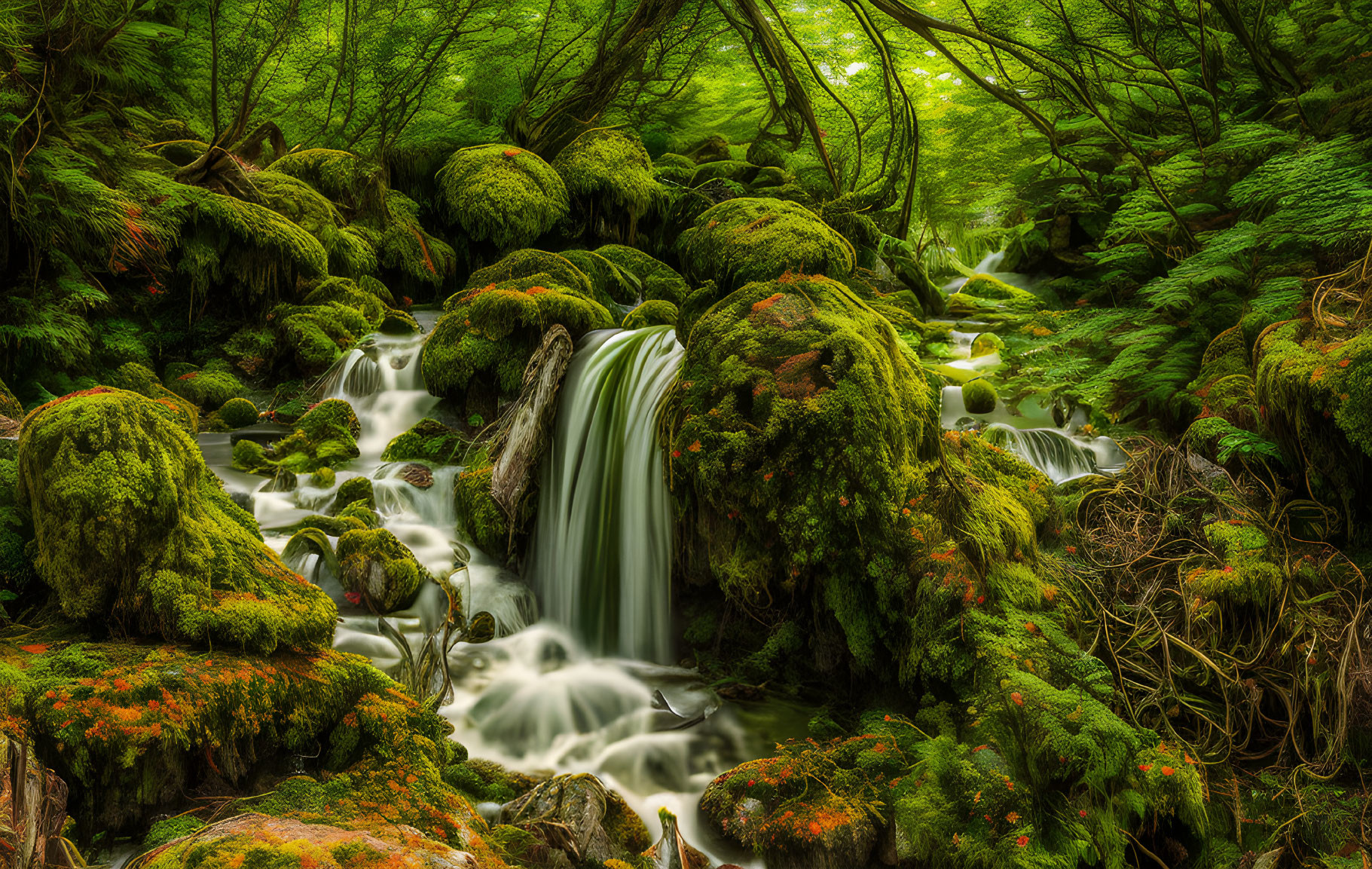 Tranquil forest landscape with cascading waterfall