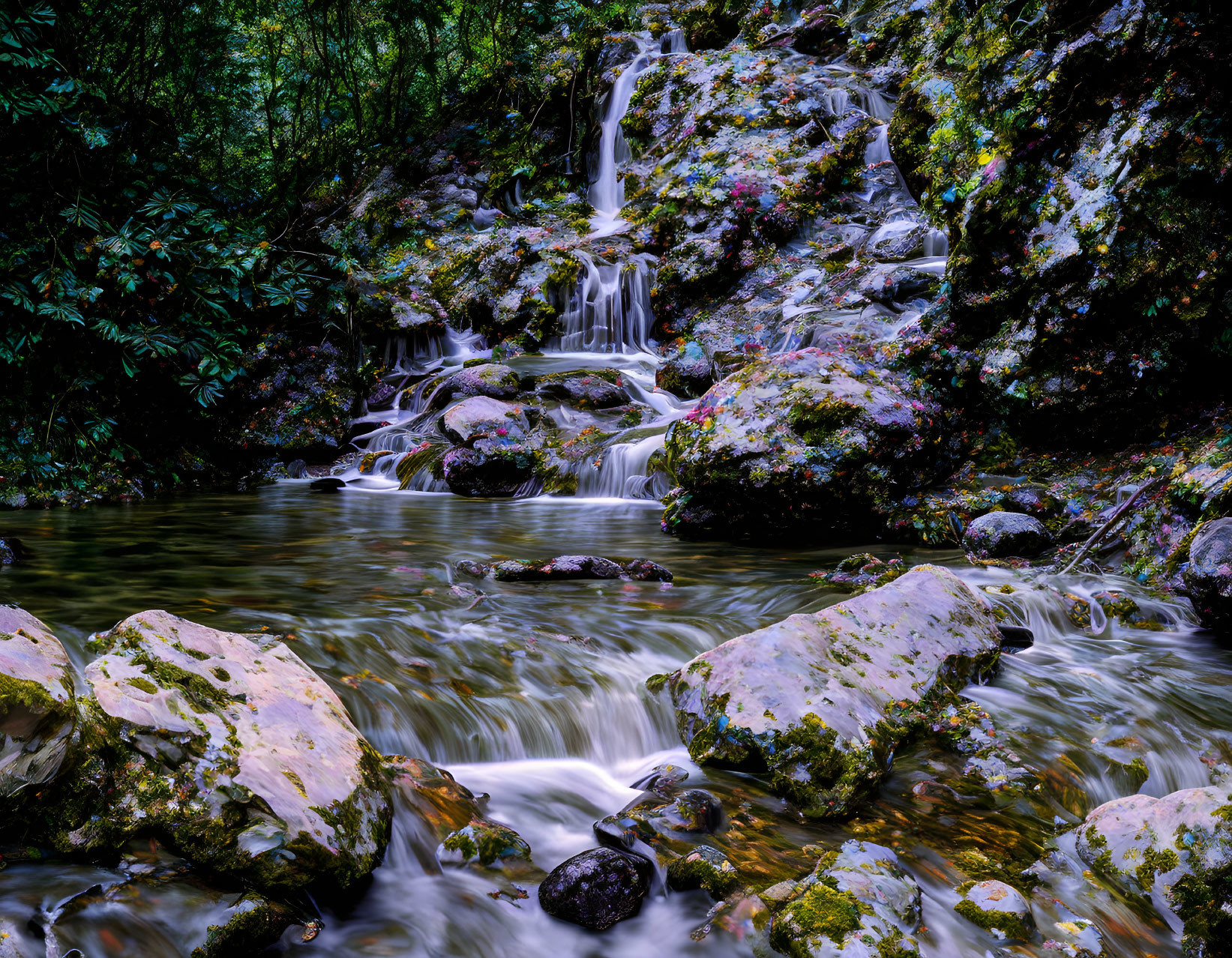 Tranquil forest waterfall scene with mossy rocks and lush greenery