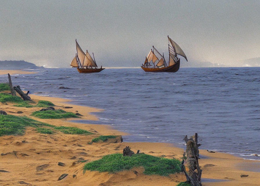 Traditional sailboats on ocean near sandy beach under hazy sky