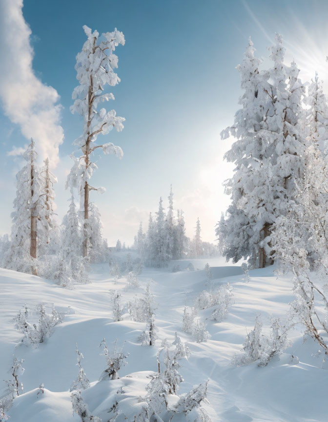 Serene wintry landscape with snow-covered trees and soft sunlight