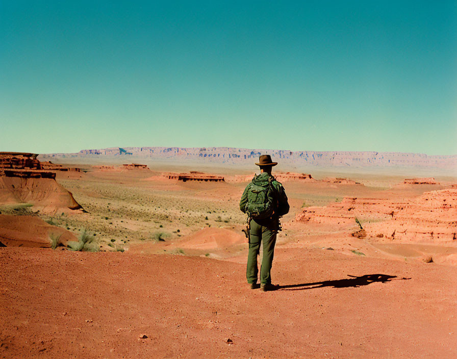 Person in hat and backpack in vast red desert landscape