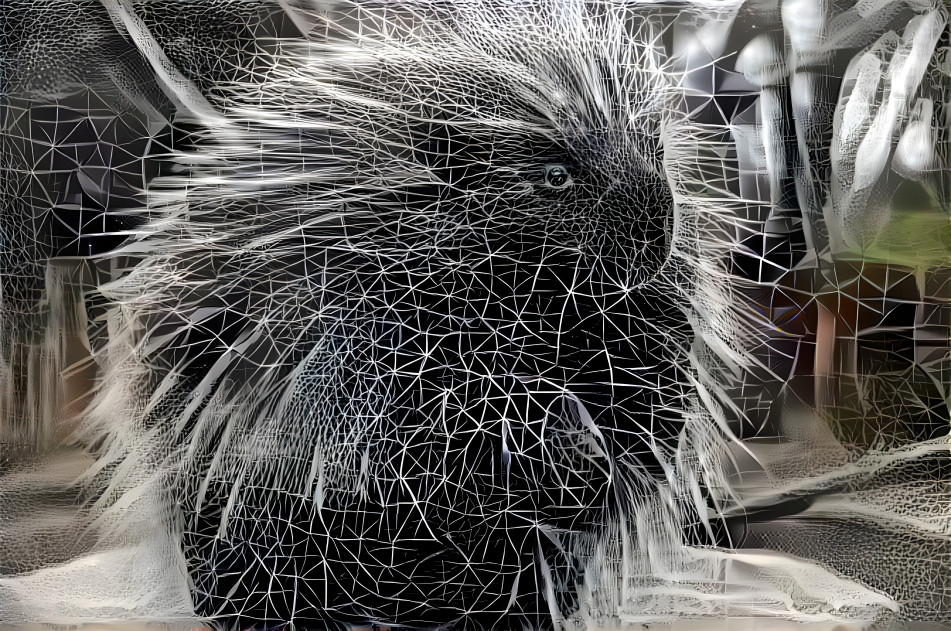 porcupine geometry