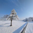 Frozen Waterfall and Snow-Covered Trees in Winter Landscape