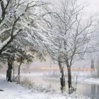 Winter forest scene with snow-covered trees and icy stream at sunrise.