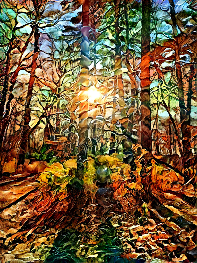 Sunset in the Forest