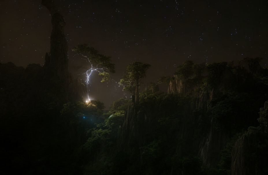 Nocturnal forest landscape with lightning bolt and stars