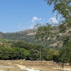 Scenic hilltop village with greenery and flowers under blue sky