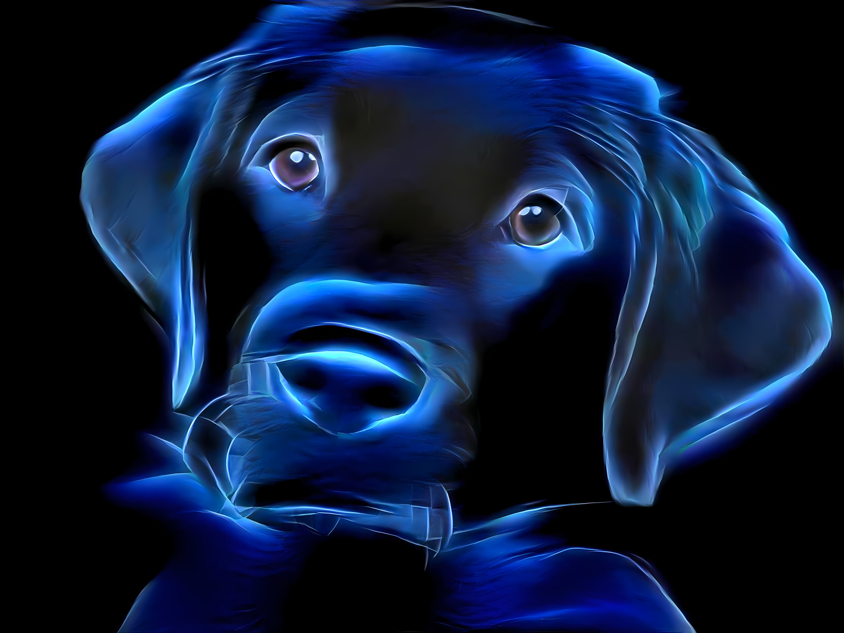 Blue Dog [FHD]