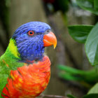 Colorful Parrot in Tropical Setting with Foliage and Fruits