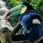 Colorful Toucan Illustration Perched on Branch