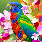 Colorful Parrot Illustration Perched on Branch with Flowers