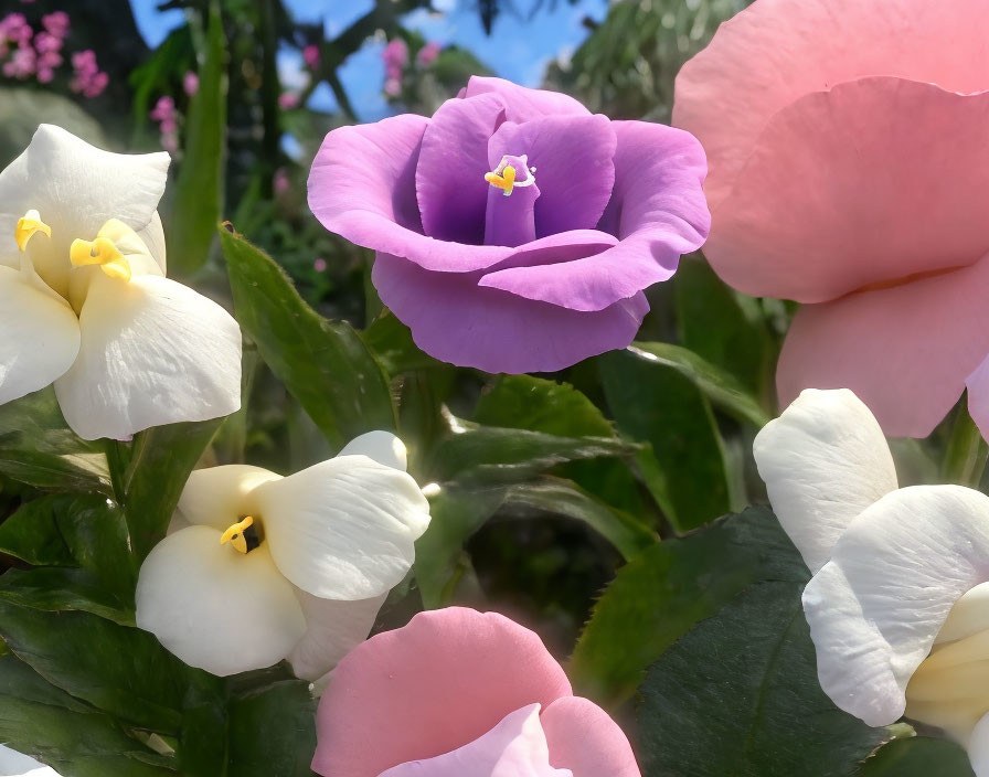 Colorful Flower Arrangement with Prominent Purple Bloom