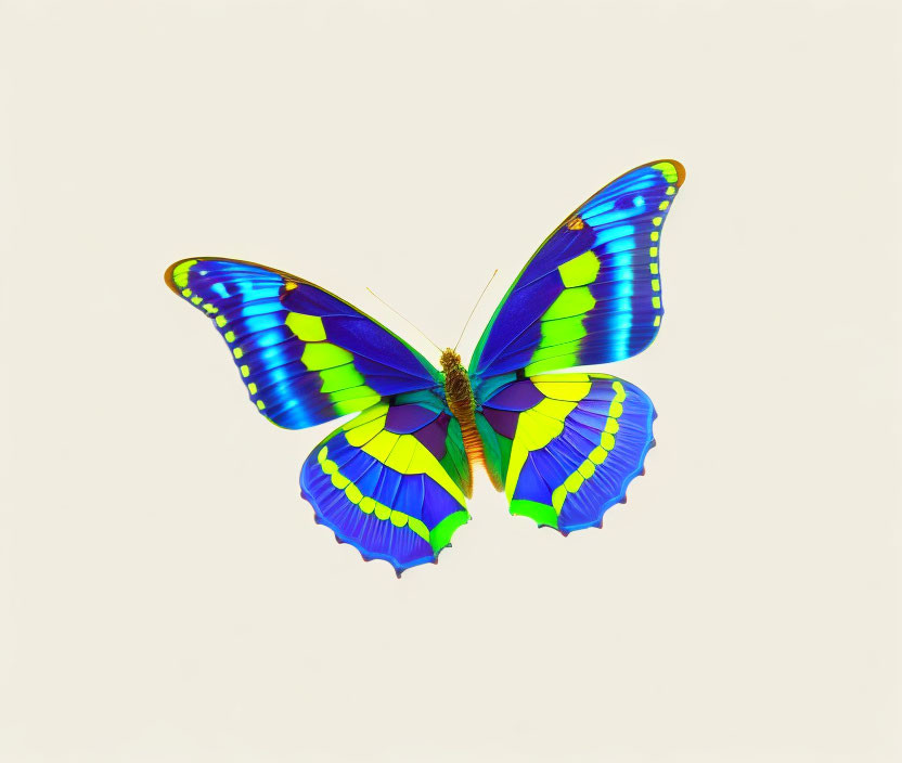 Colorful Butterfly with Blue and Green Iridescent Wings on Pale Background